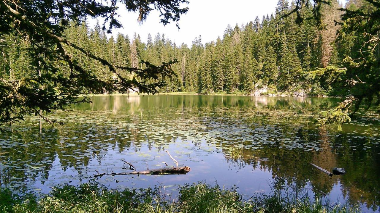 Cottage Bosaca Žabljak Exteriör bild